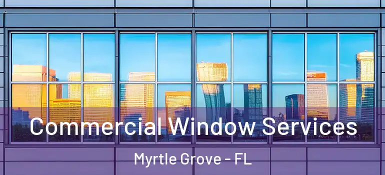  Commercial Window Services Myrtle Grove - FL