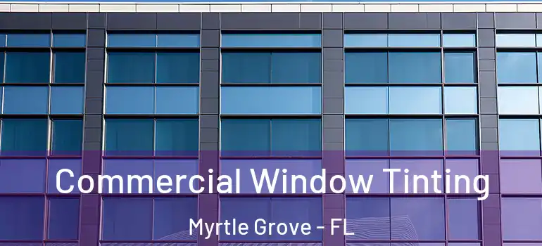 Commercial Window Tinting Myrtle Grove - FL
