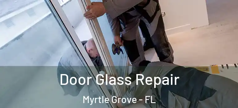  Door Glass Repair Myrtle Grove - FL
