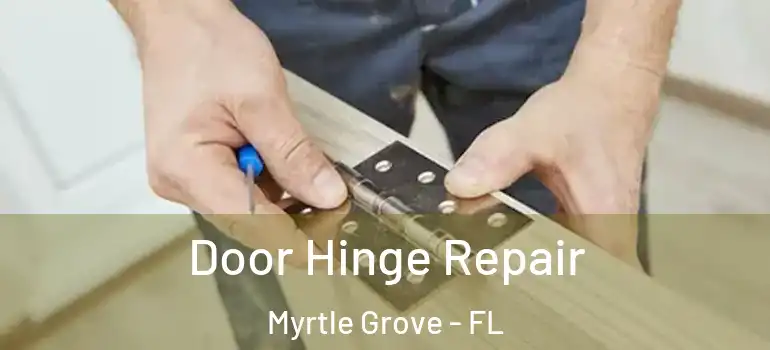  Door Hinge Repair Myrtle Grove - FL