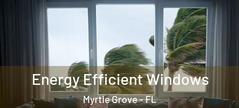  Energy Efficient Windows Myrtle Grove - FL