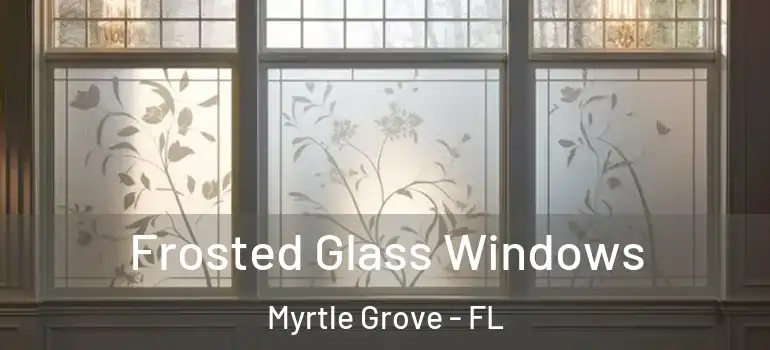  Frosted Glass Windows Myrtle Grove - FL