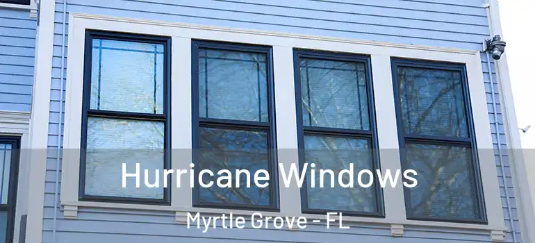  Hurricane Windows Myrtle Grove - FL