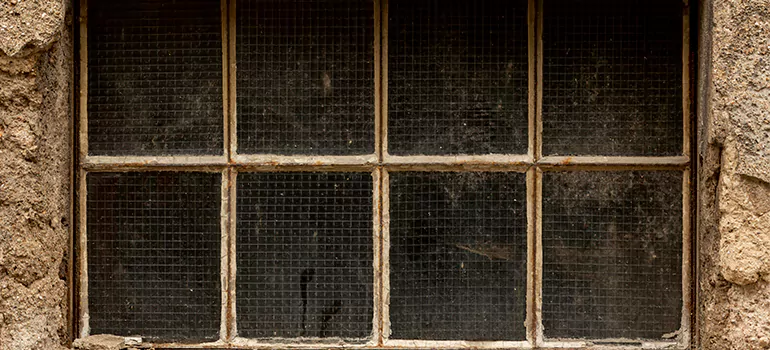 Traditional Double Front Doors in Myrtle Grove, FL