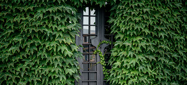 Garden Gate Repair in Myrtle Grove, FL