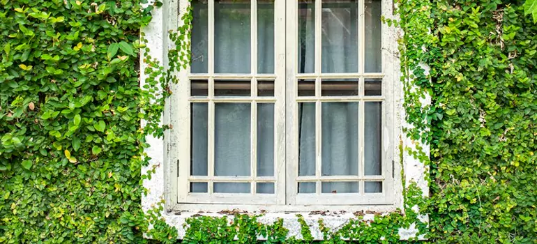 Garden Window Repair Near Me in Myrtle Grove, FL