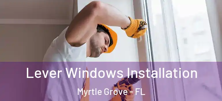  Lever Windows Installation Myrtle Grove - FL