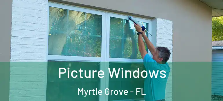  Picture Windows Myrtle Grove - FL