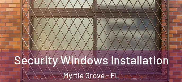  Security Windows Installation Myrtle Grove - FL