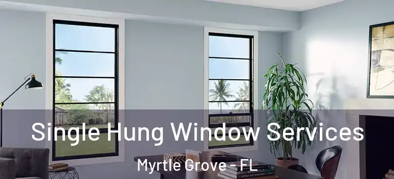  Single Hung Window Services Myrtle Grove - FL