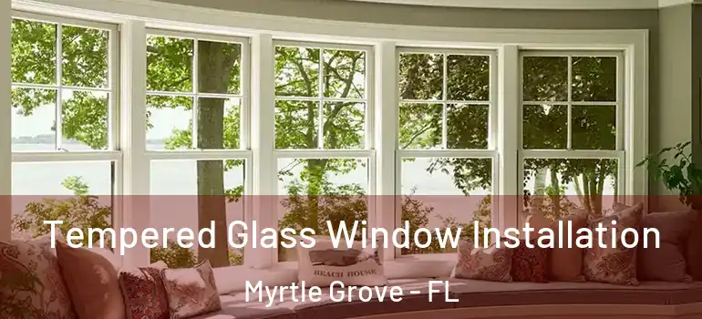 Tempered Glass Window Installation Myrtle Grove - FL