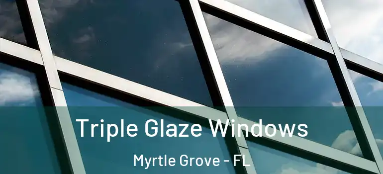  Triple Glaze Windows Myrtle Grove - FL