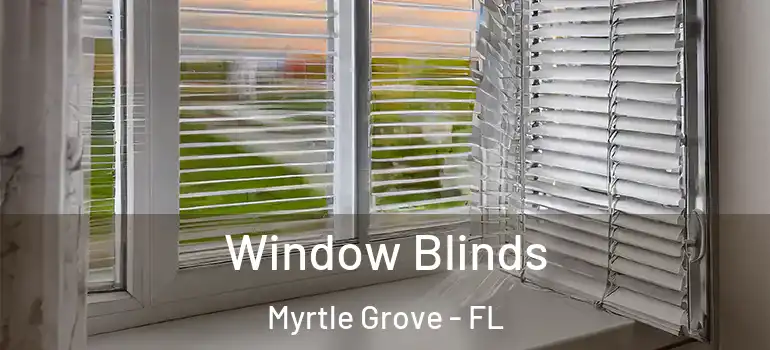  Window Blinds Myrtle Grove - FL