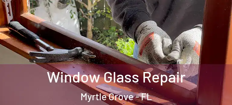  Window Glass Repair Myrtle Grove - FL