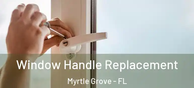  Window Handle Replacement Myrtle Grove - FL
