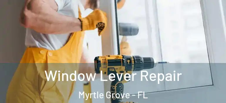  Window Lever Repair Myrtle Grove - FL
