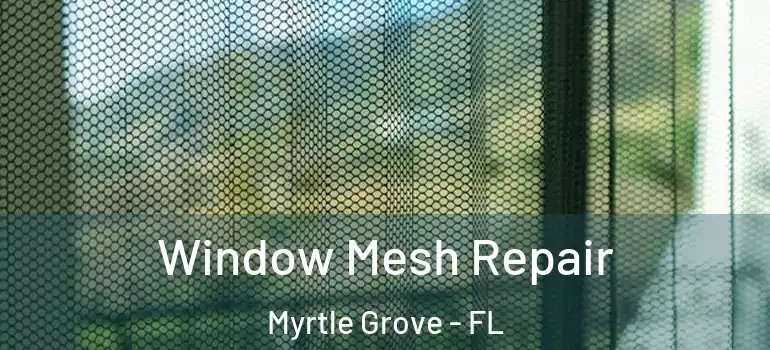  Window Mesh Repair Myrtle Grove - FL