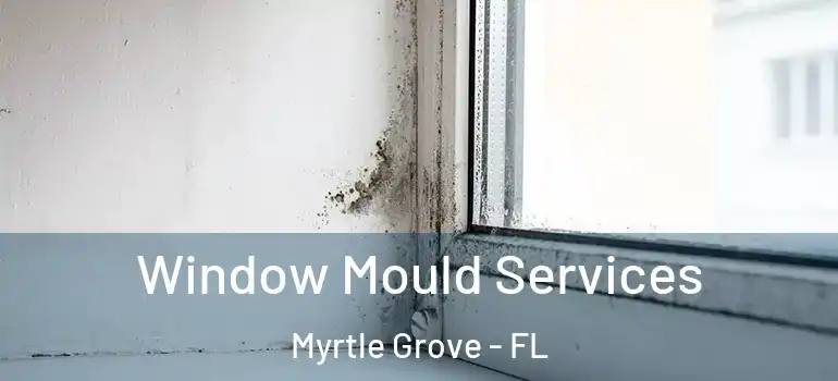  Window Mould Services Myrtle Grove - FL