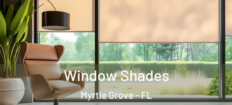  Window Shades Myrtle Grove - FL